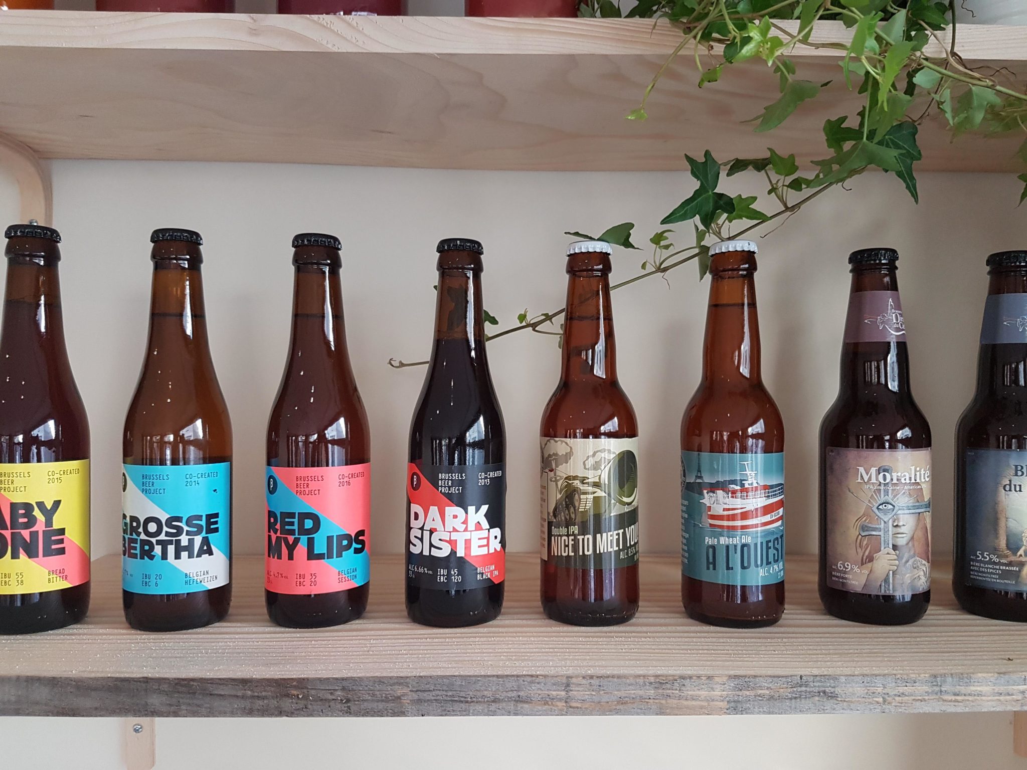 Mishka craftbeer