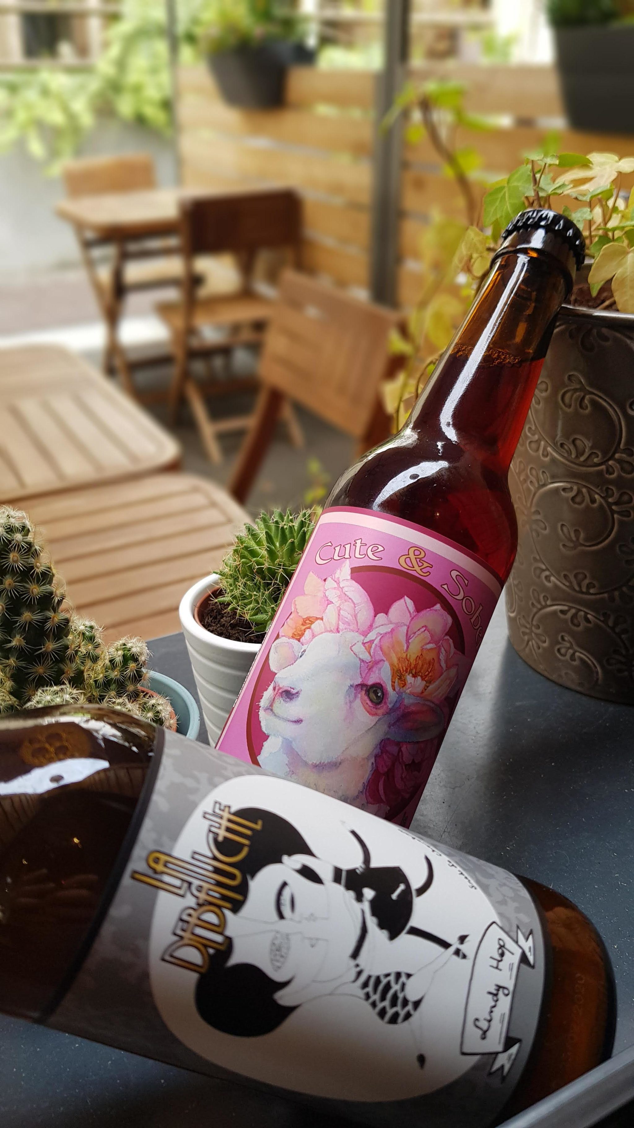 Mishka craftbeer